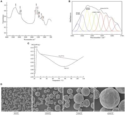 Regulation of Sacha Inchi protein on fecal metabolism and intestinal microorganisms in mice